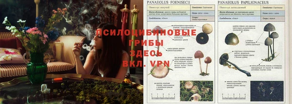 MESCALINE Арсеньев