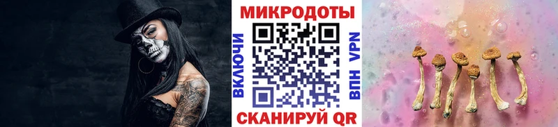 Галлюциногенные грибы Psilocybe  omg зеркало  Волхов 