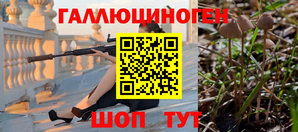 Псилоцибиновые грибы мицелий Волхов