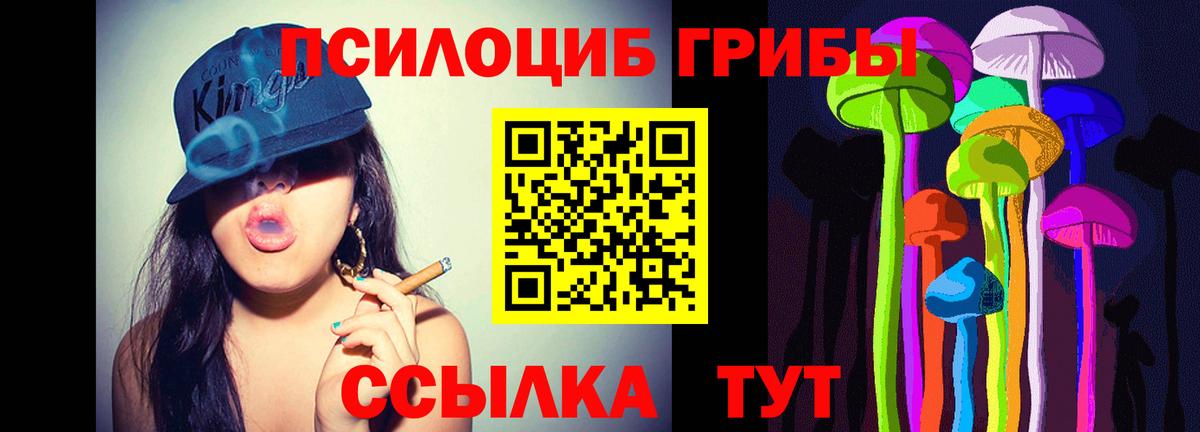Галлюциногенные грибы Magic Shrooms  Вход с VPN  Псилоцибиновые грибы ЛСД  Волхов 