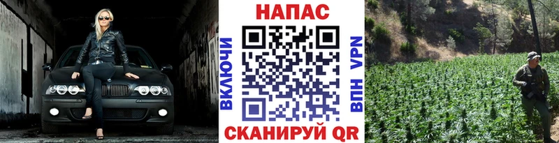 OMG маркетплейс  Волхов  Шишки марихуана ГИДРОПОН 